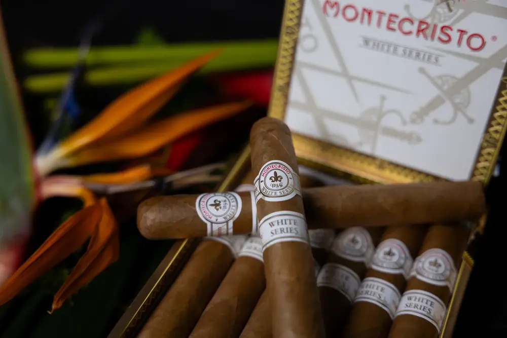 A premium cigar available from the Macabi humidor
